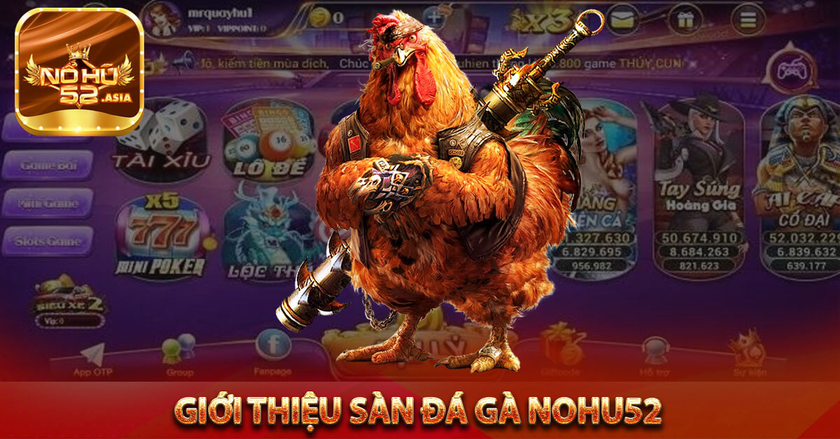 Giới thiệu sàn đá gà Nohu52