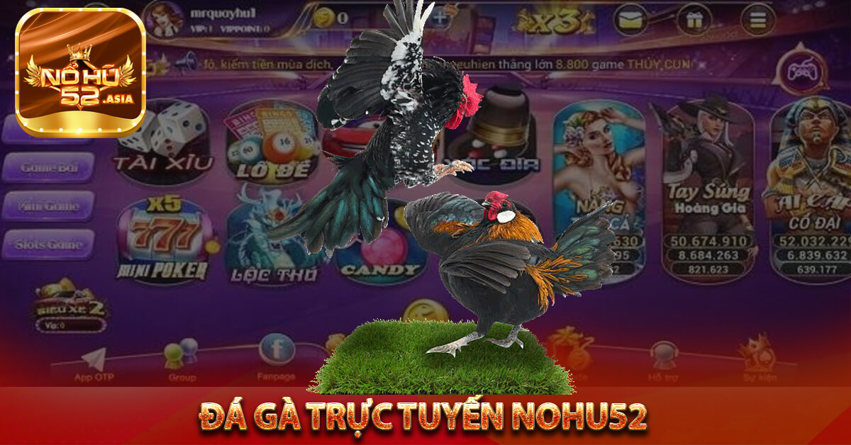 Đá gà trực tuyến Nohu52