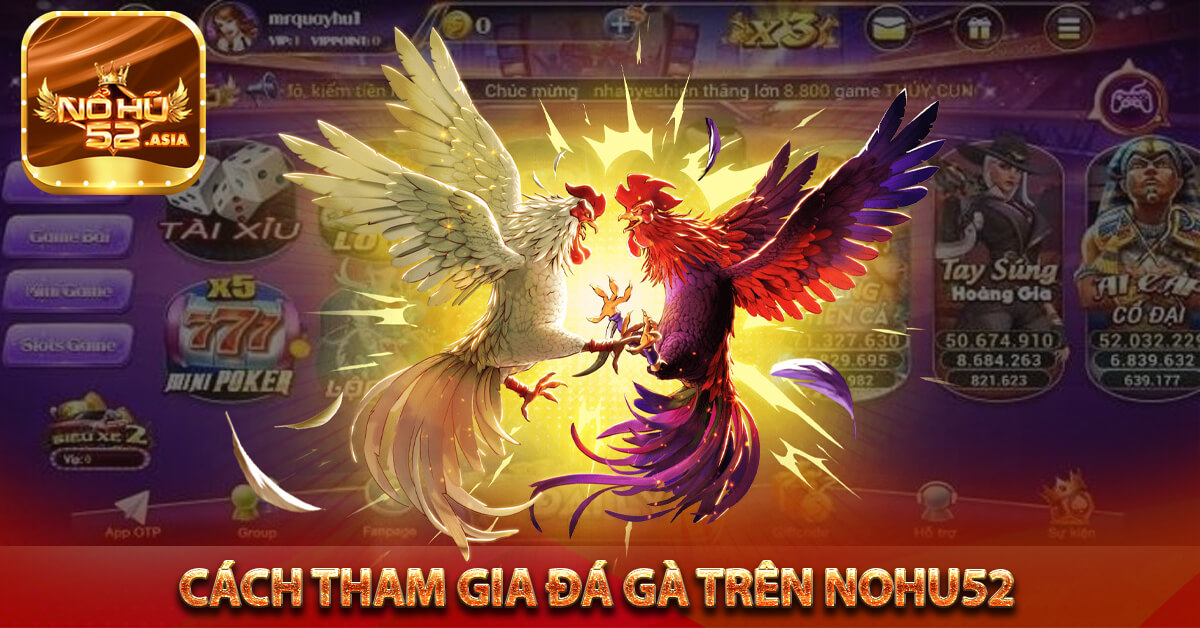 Cách tham gia đá gà trên Nohu52